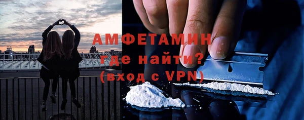 мет Алексин