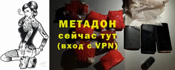 стаф Алзамай