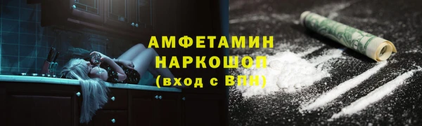 стаф Алзамай