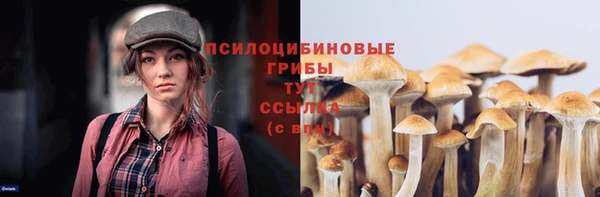 молекула духа Алексеевка