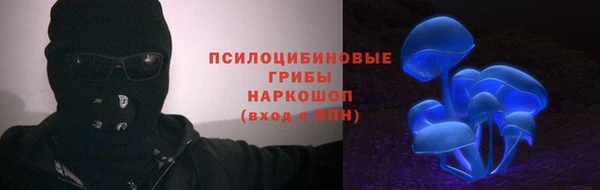 стаф Алзамай