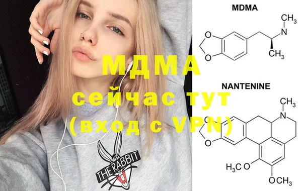 мет Алексин