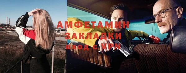 стаф Алзамай