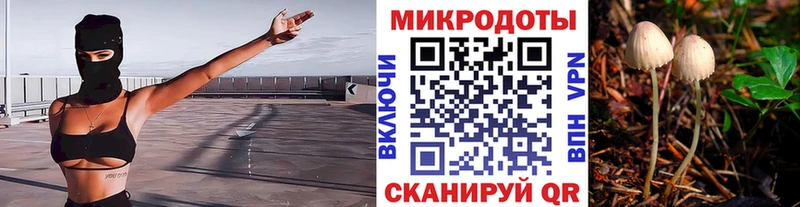 купить наркотик  Азнакаево  Псилоцибиновые грибы прущие грибы 